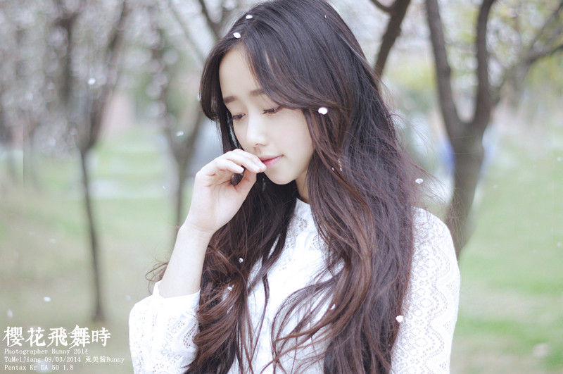 樱花飞舞下长发美女清纯图  第8张