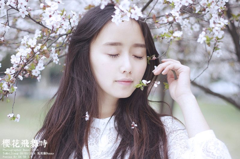 樱花飞舞下长发美女清纯图  第7张