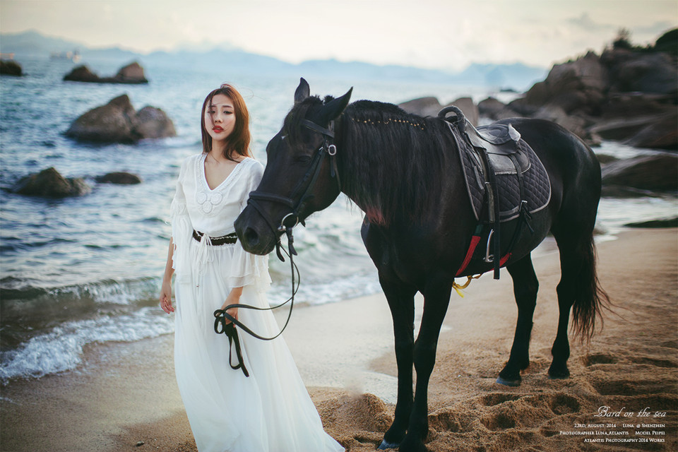 海边马背上的白裙美女  第6张